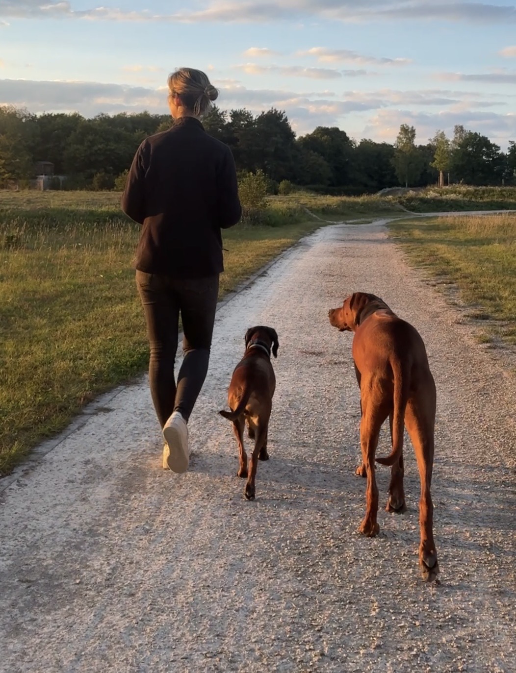 5 Punkte, um die Bindung zu deinem Hund zu stärken – für mehr Vertrauen, Orientierung und eine bessere Mensch-Hund-Beziehung